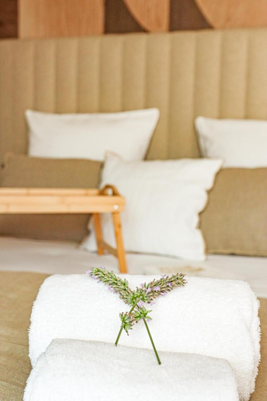 Malves-en-Minervois Les Gites De Laure - L'Eden Romantique, Chambres Hotes, Spa Prive, Couloir De Nage, Adults Only מראה חיצוני תמונה